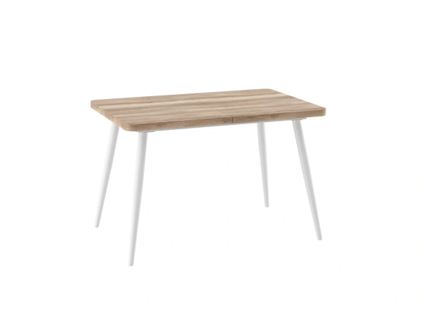 Стол BORG RADIAL-120, раздвижной 120(160)х80, ДУБ КАНЬОН/БЕЛЫЙ)